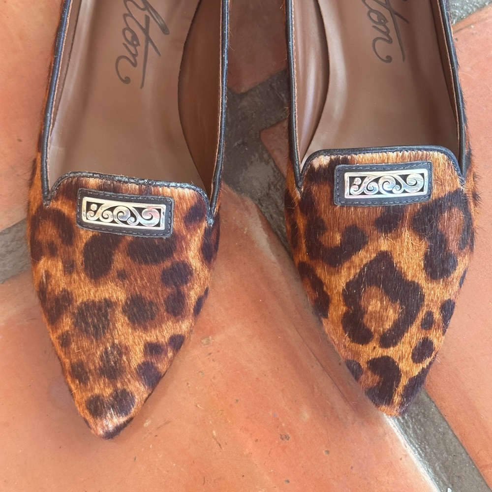 Brighton Leopard Print Pointed-Toe Flats